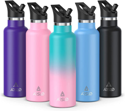 Insulated Stainless Steel Water Bottle with Straw Lid